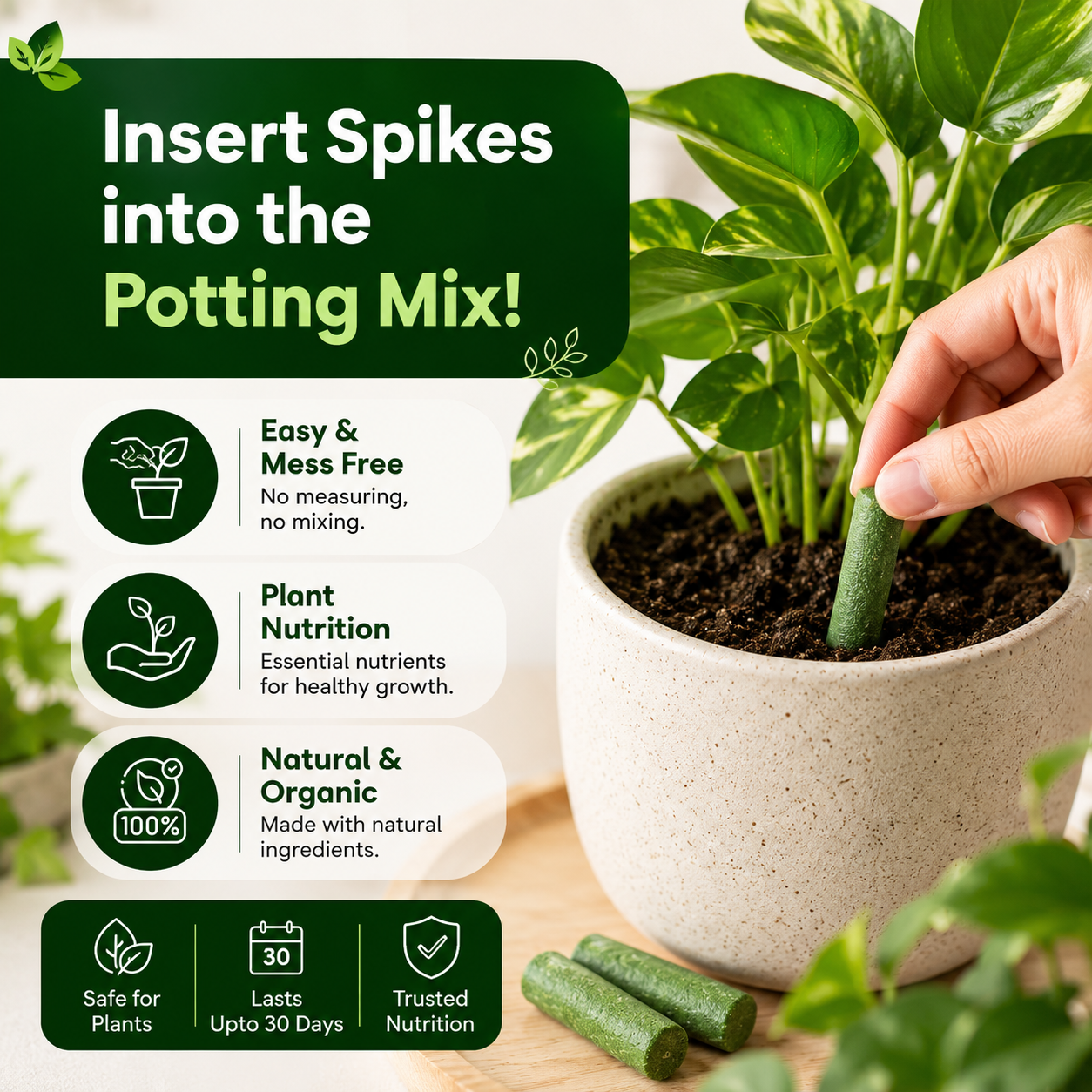 EverGreen™ Plant Nutrition Sticks
