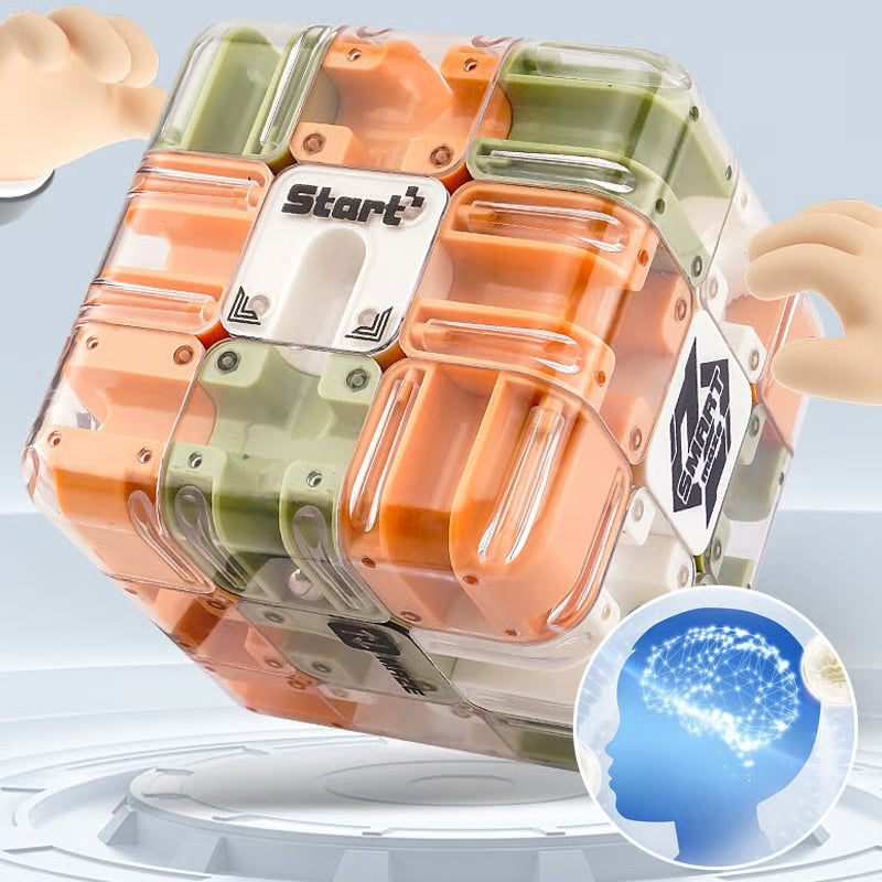 NeuroMaze™ 3D Challenge Cube