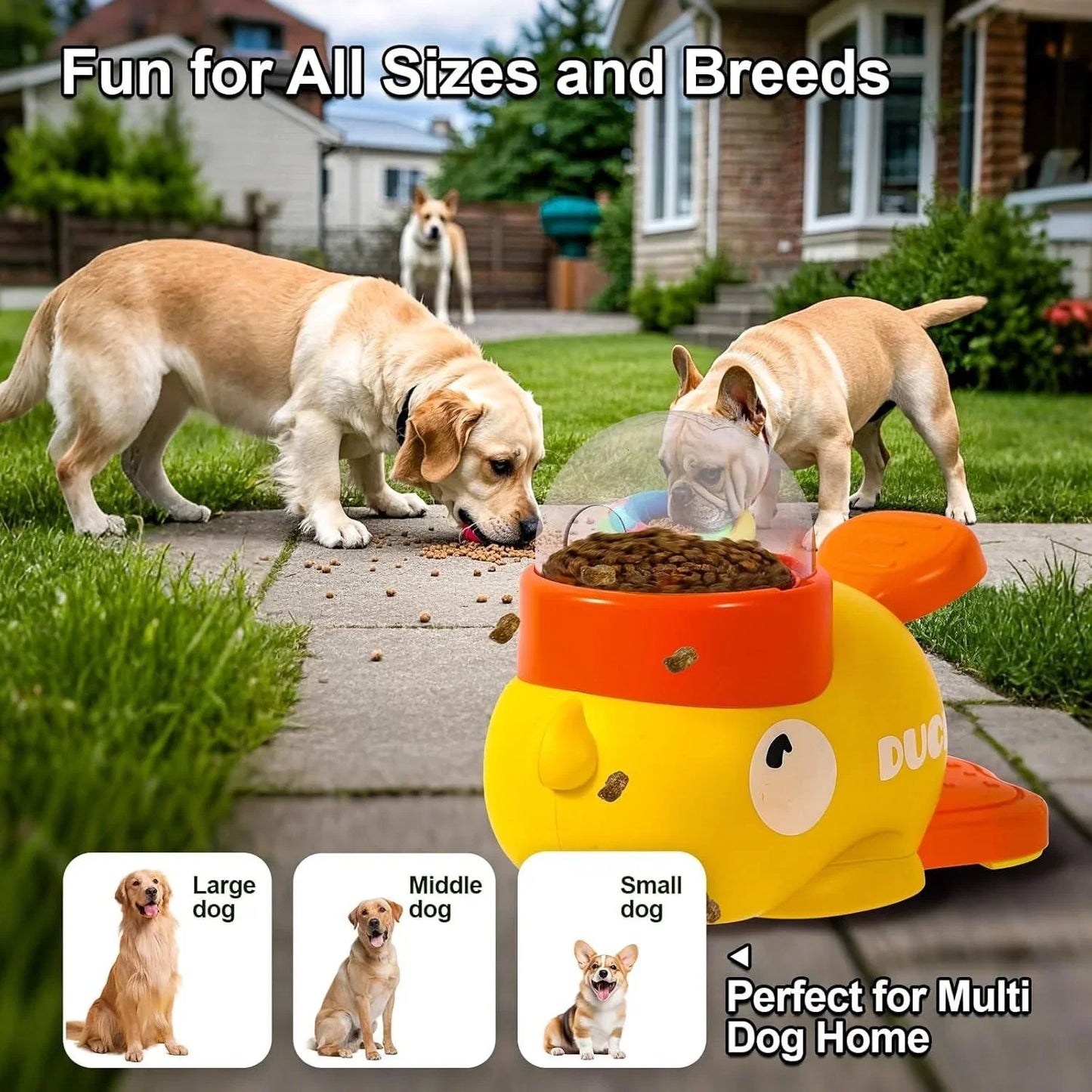 PacePaws™ - Pet Feeder