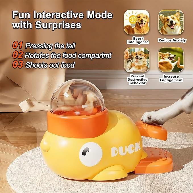 PacePaws™ - Pet Feeder